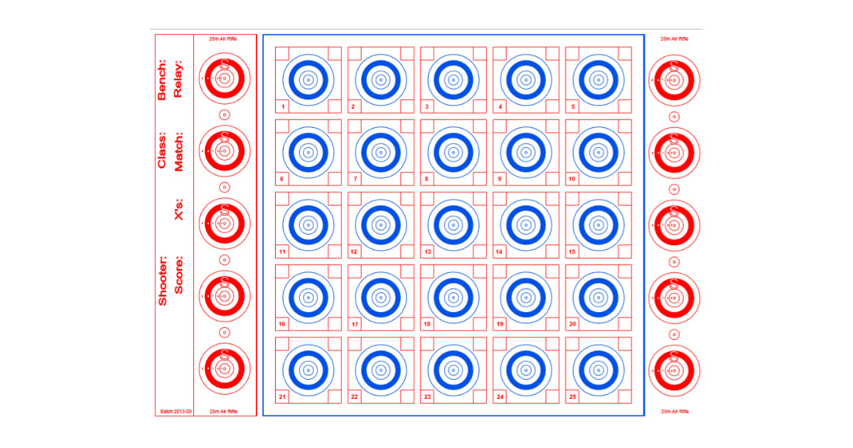 Air Rifle Target (A3)